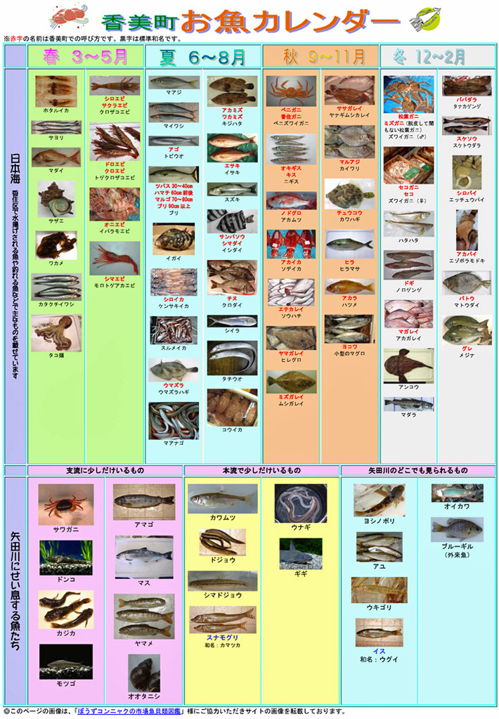 香美町お魚カレンダー
