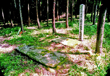 上野山古墳