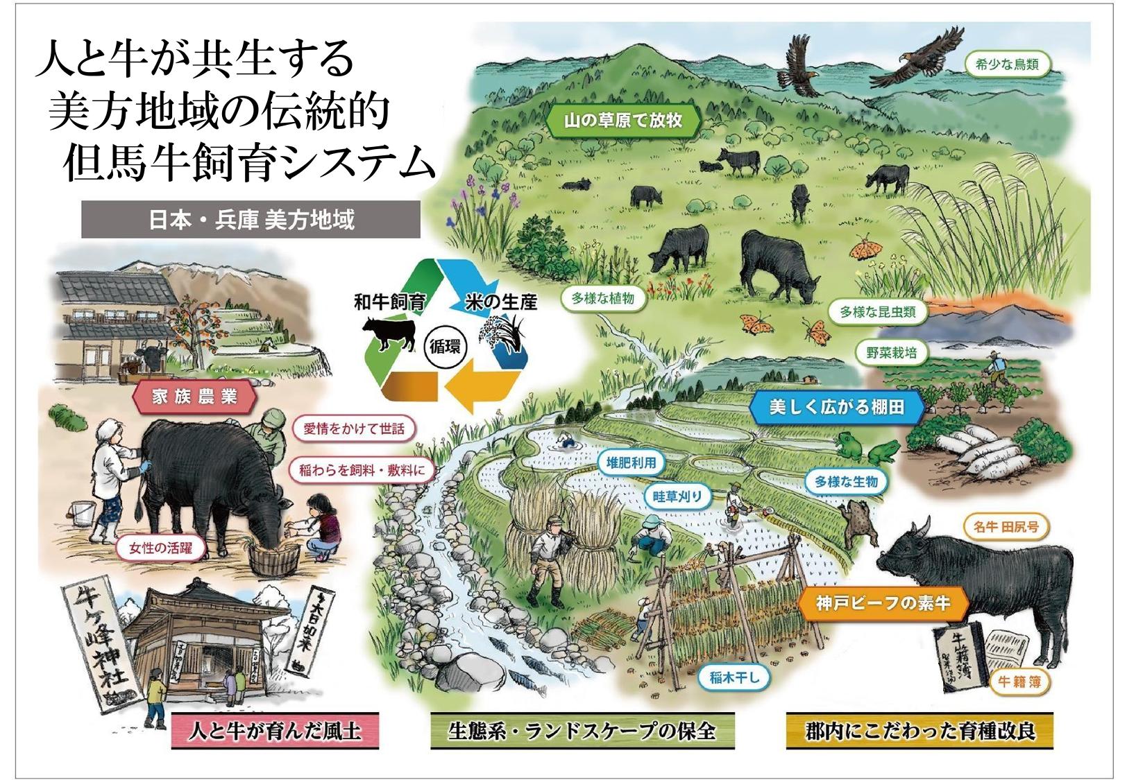 システムポンチ絵